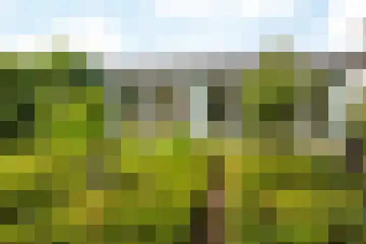 De Koningswinkel 15 Margraten thumbnail 29