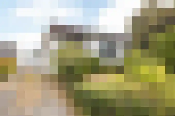 De Koningswinkel 15 Margraten thumbnail 30