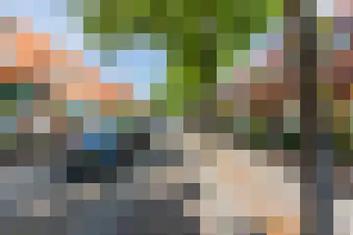 de Konnighstraat 1 A 's-Gravenzande thumbnail 33