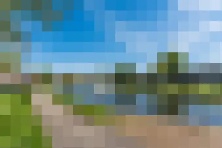 de Konnighstraat 1 A 's-Gravenzande thumbnail 35