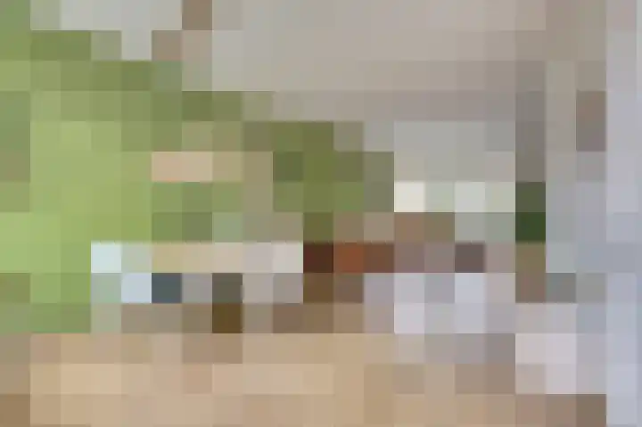 de Konnighstraat 15 's-Gravenzande thumbnail 12