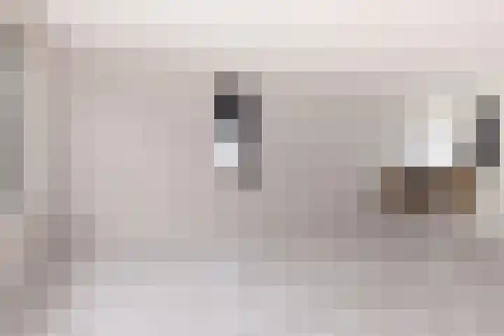 De Kooi 16 Biddinghuizen thumbnail 12