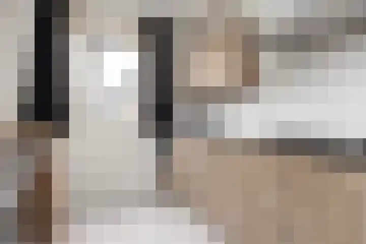 De Kooi 16 Biddinghuizen thumbnail 14