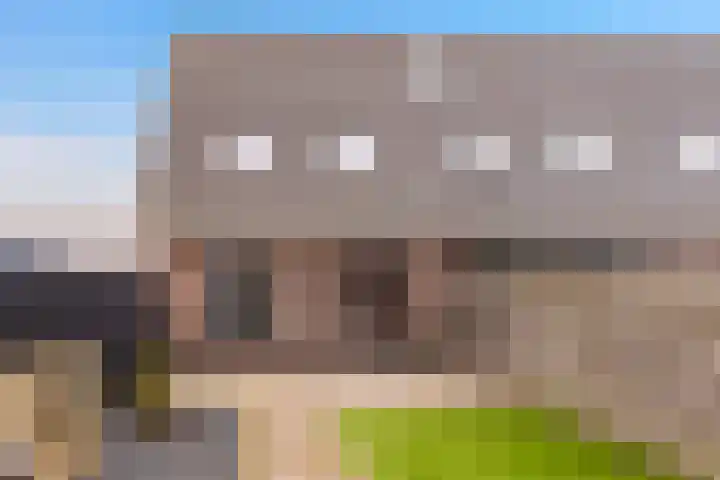 De Kooi 16 Biddinghuizen thumbnail 16