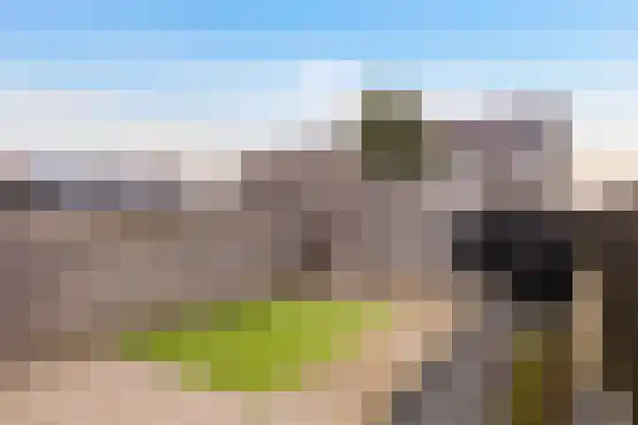 De Kooi 16 Biddinghuizen thumbnail 18