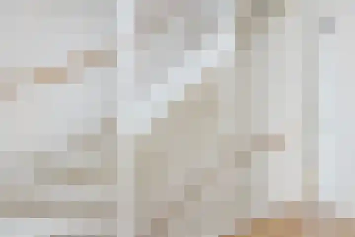 De Kooi 16 Biddinghuizen thumbnail 22