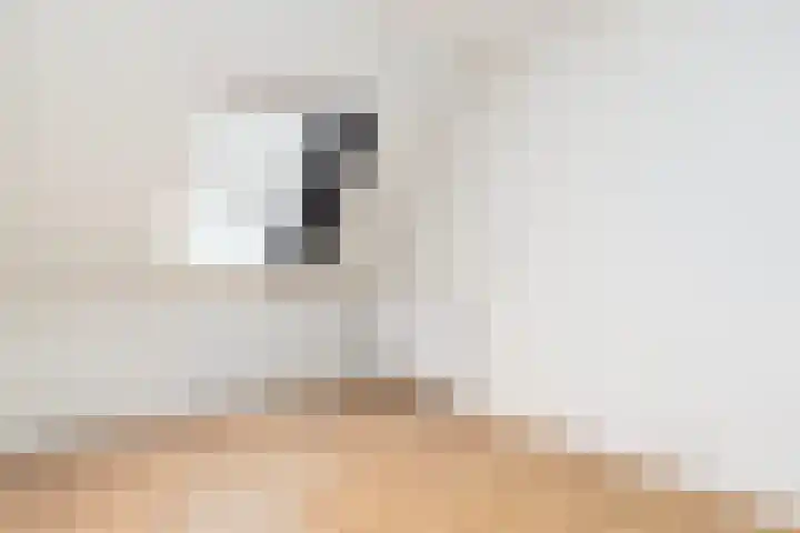 De Kooi 16 Biddinghuizen thumbnail 24
