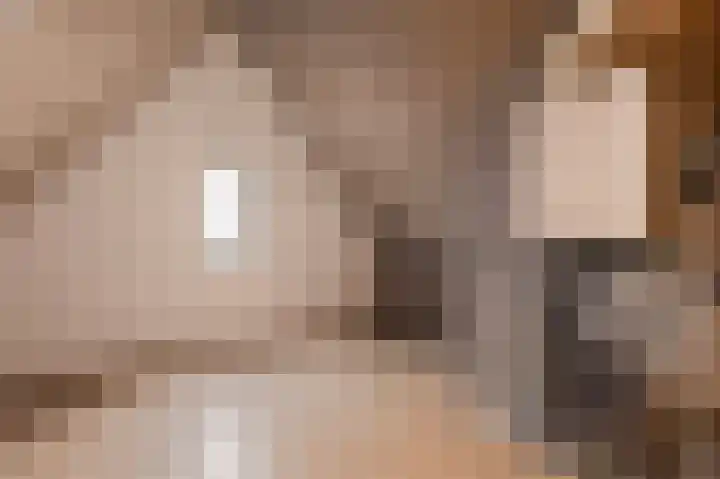 De Kooi 16 Biddinghuizen thumbnail 27