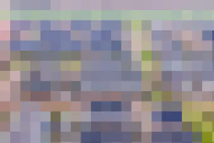 De Kooi 16 Biddinghuizen thumbnail 29