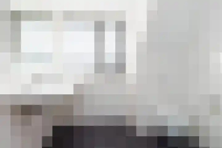 De Kooi 16 Biddinghuizen thumbnail 4