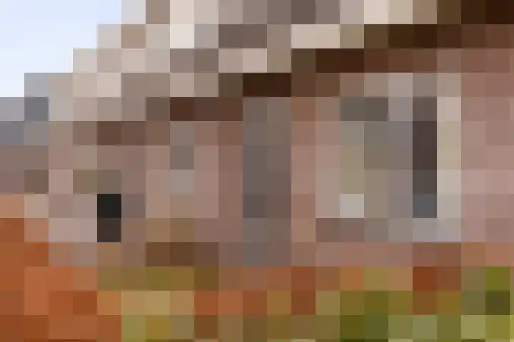 De Kooi 16 Biddinghuizen thumbnail 5