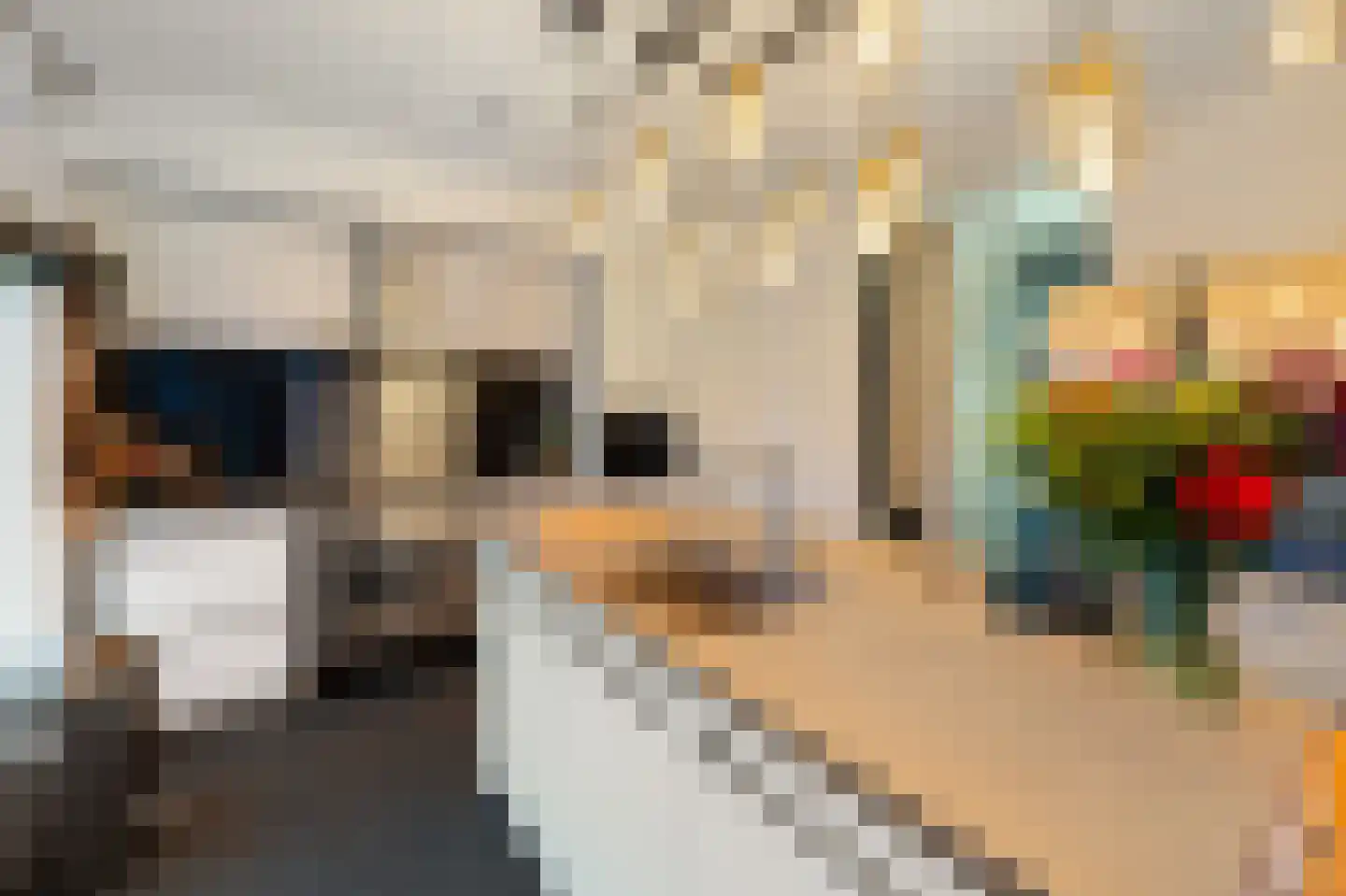 De Kooi 2 Biddinghuizen thumbnail 10