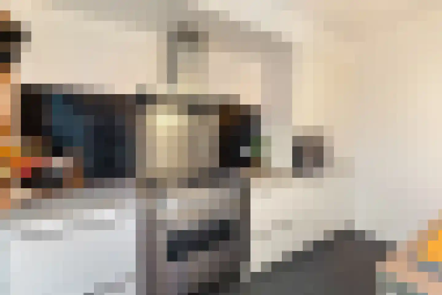De Kooi 2 Biddinghuizen thumbnail 11