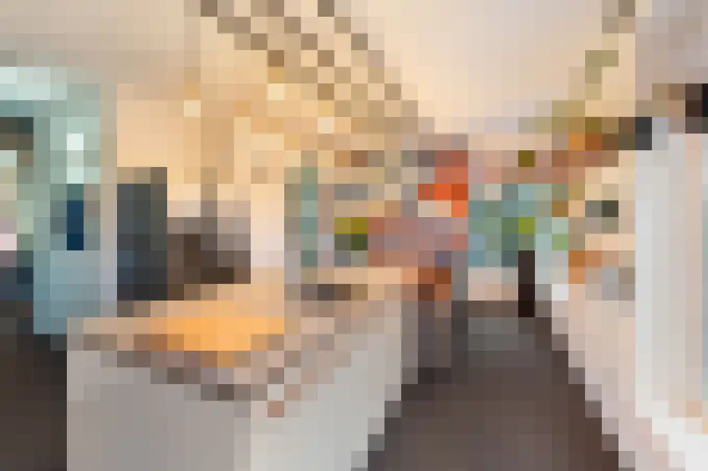 De Kooi 2 Biddinghuizen thumbnail 12