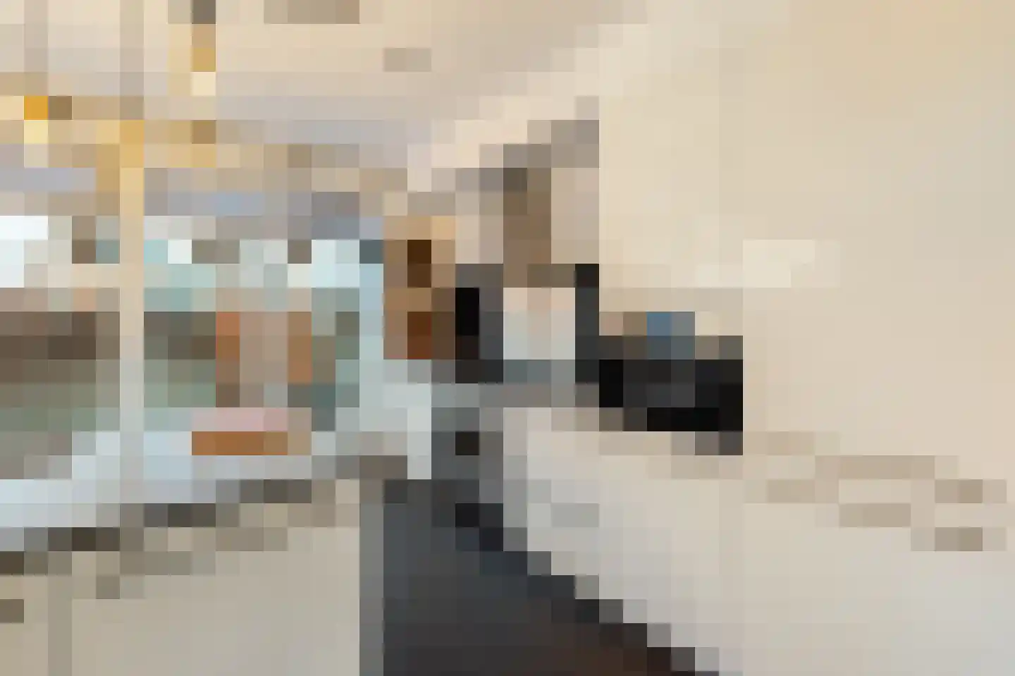 De Kooi 2 Biddinghuizen thumbnail 13