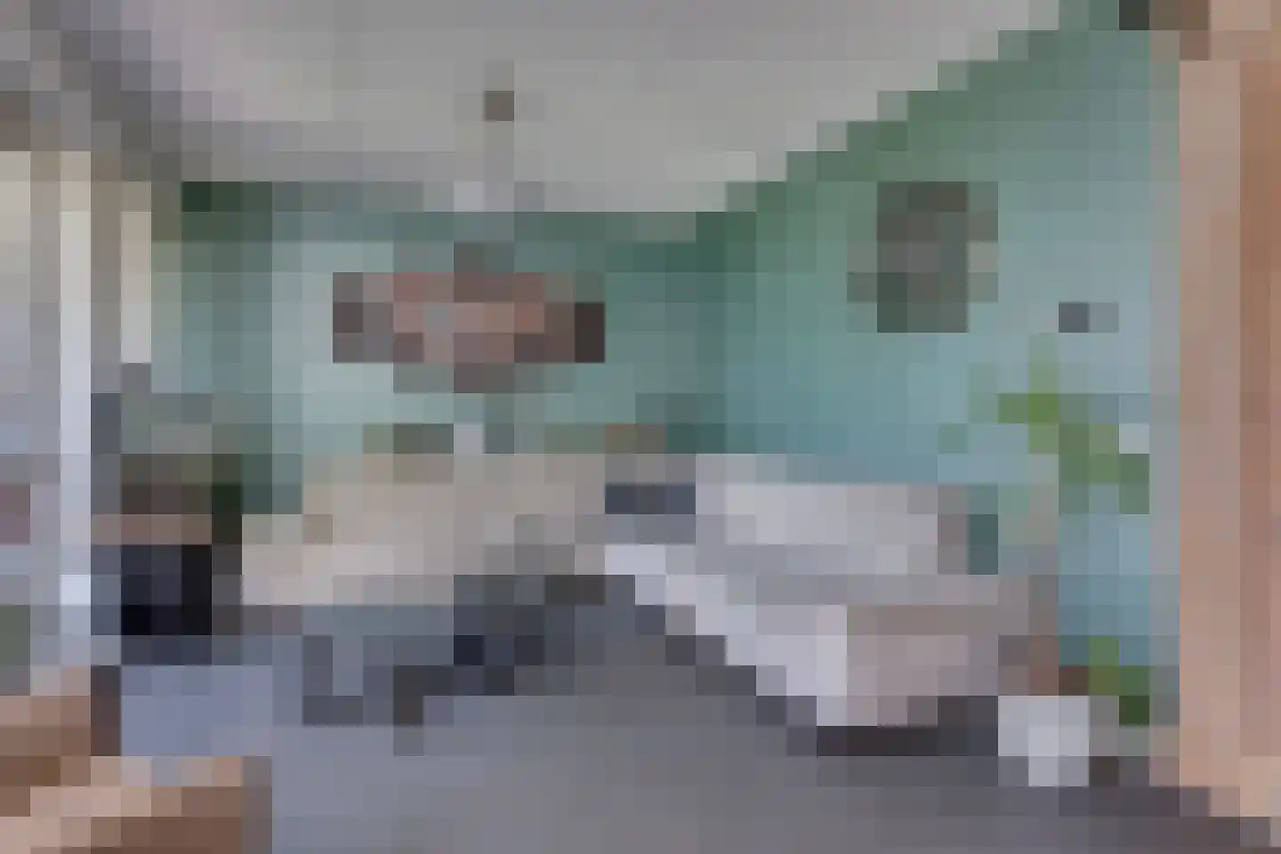 De Kooi 2 Biddinghuizen foto 3