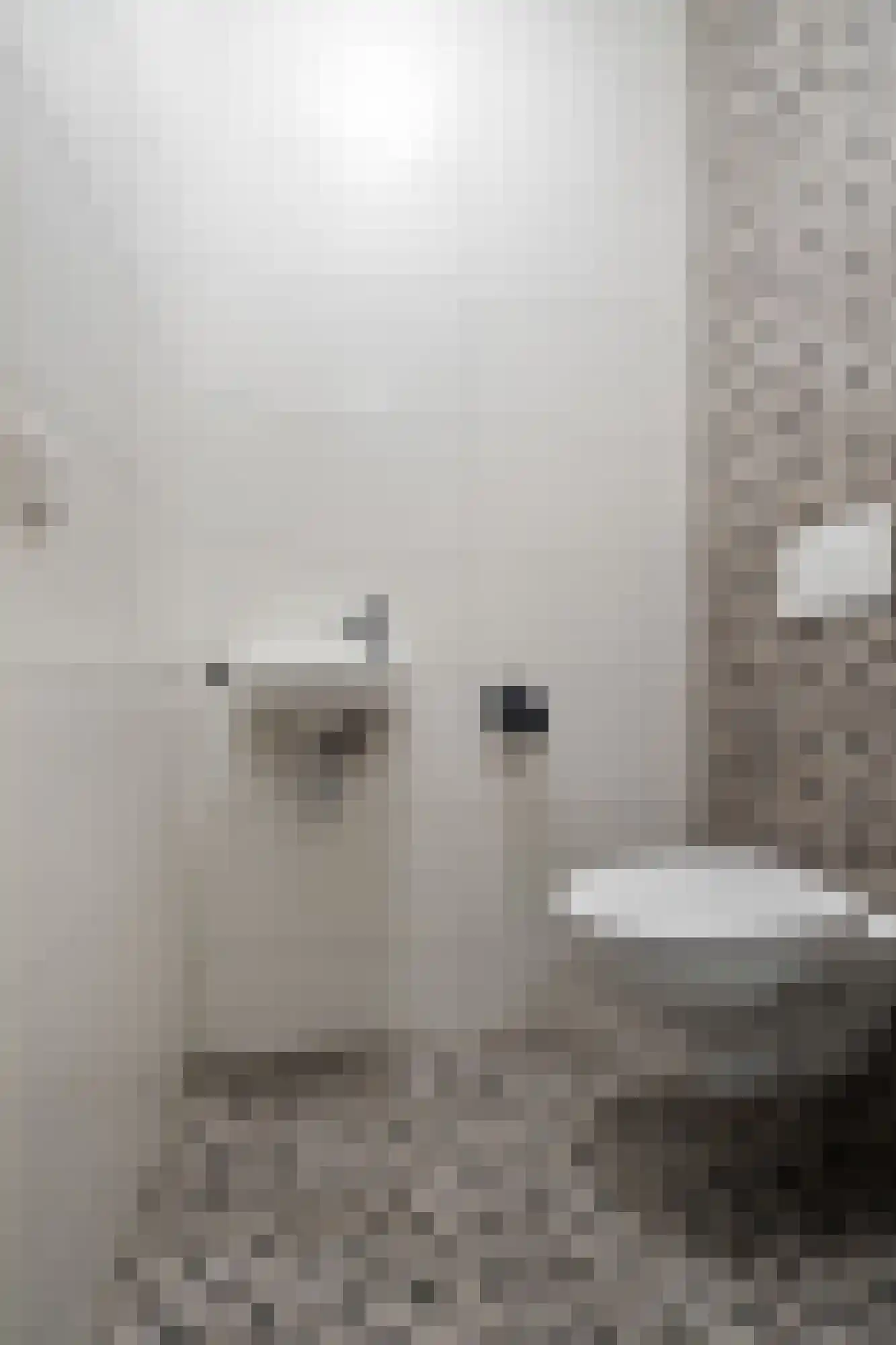 De Kooi 2 Biddinghuizen thumbnail 8