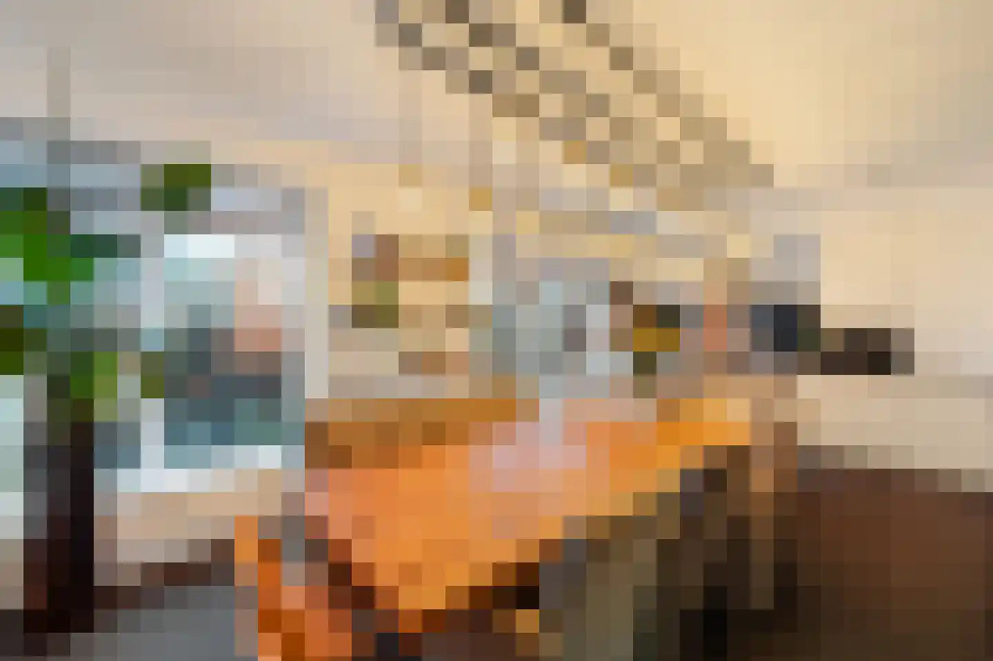 De Kooi 2 Biddinghuizen thumbnail 9