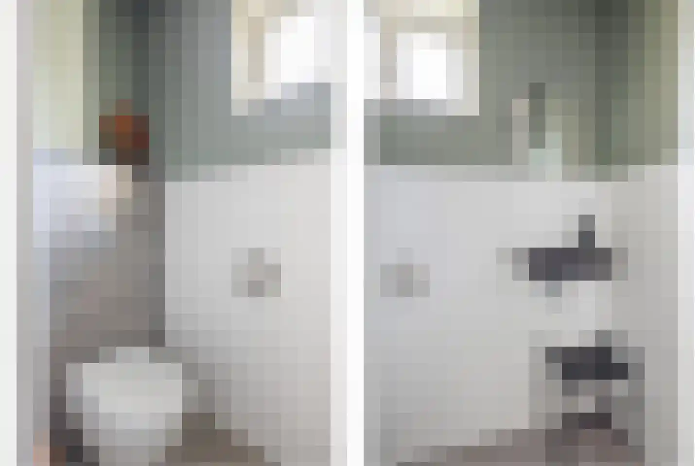 De Kooikampen 9 Nieuwkuijk thumbnail 27