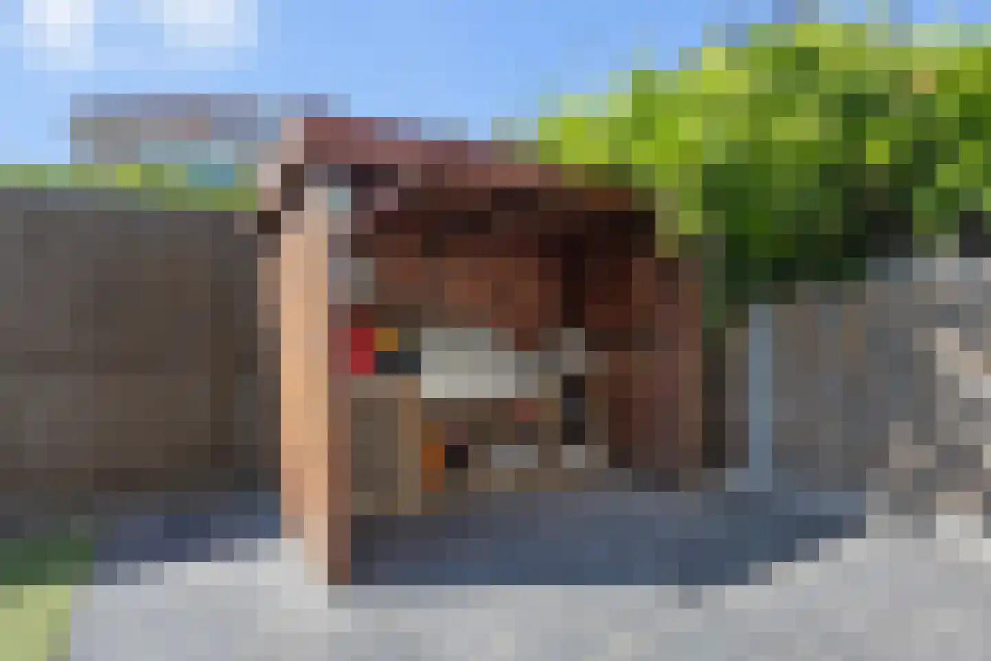De Kooikampen 9 Nieuwkuijk thumbnail 28