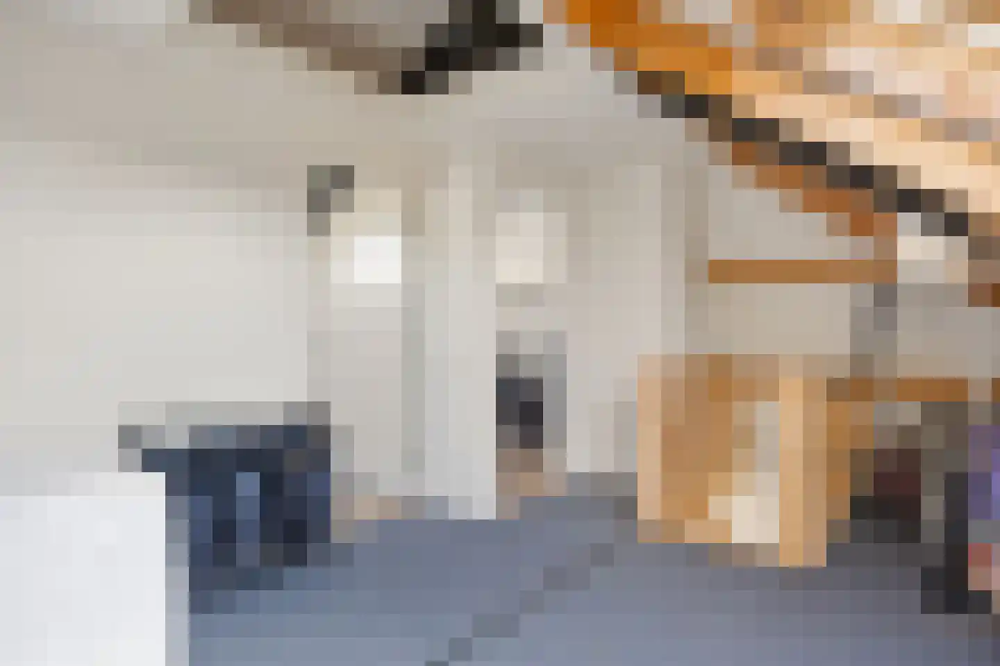 De Kooikampen 9 Nieuwkuijk thumbnail 40
