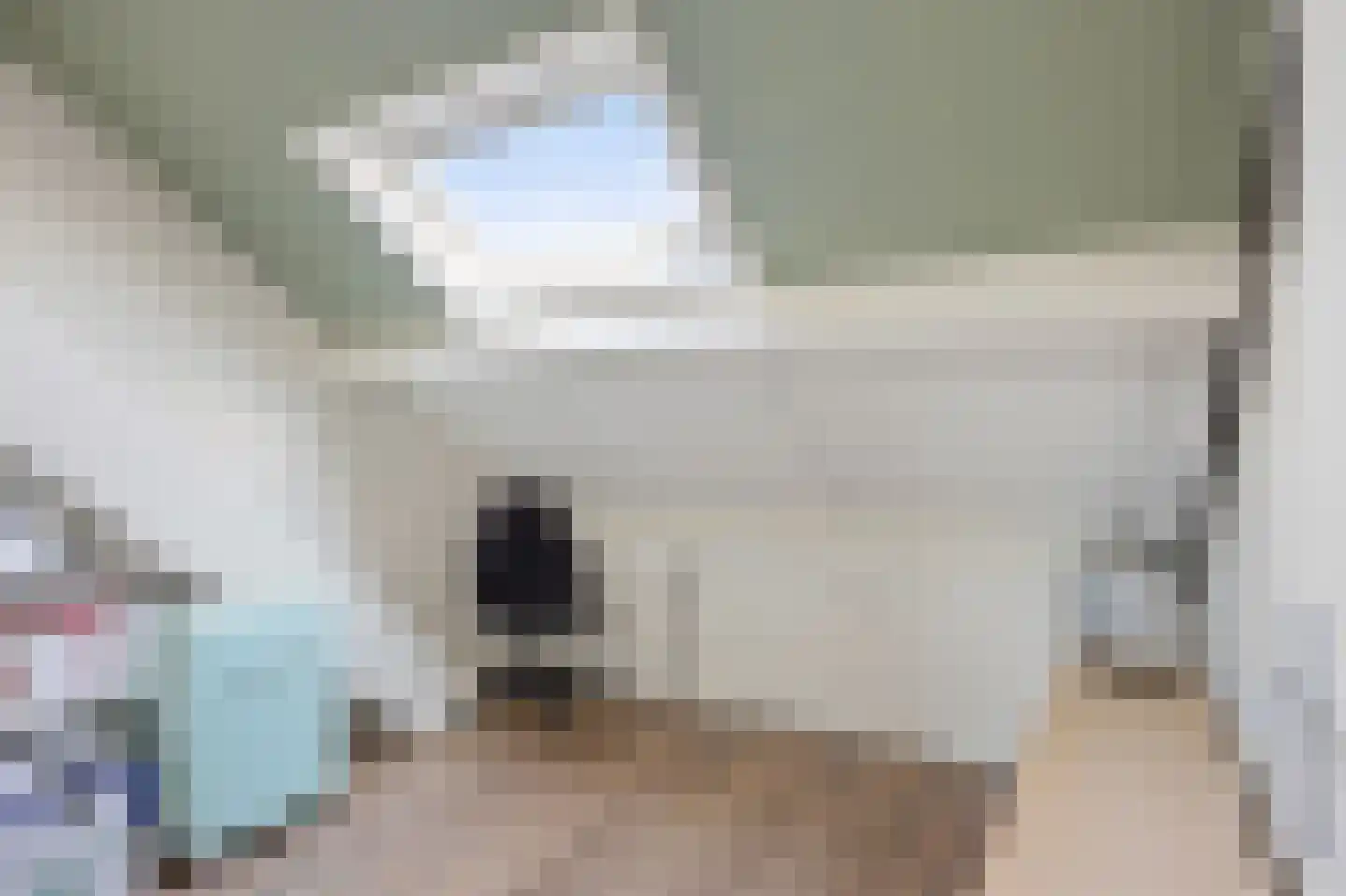 De Kooikampen 9 Nieuwkuijk thumbnail 43