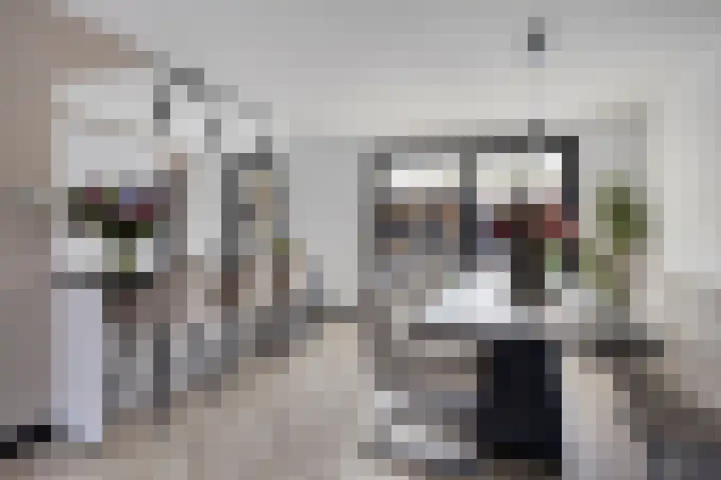 De Koolhof 12 Veldhoven thumbnail 10