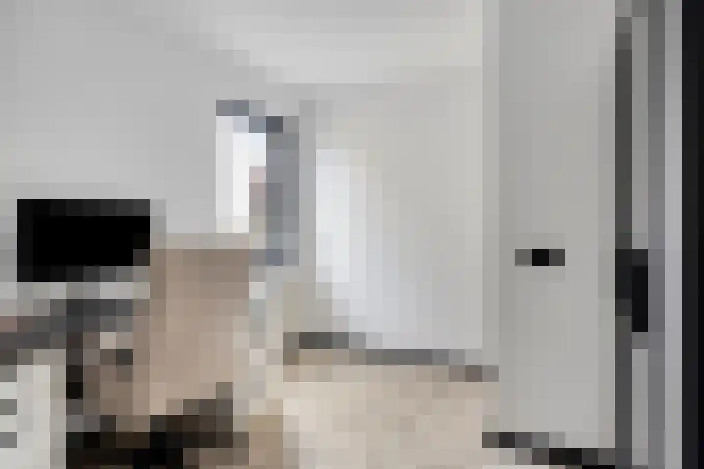 De Koolhof 12 Veldhoven thumbnail 24