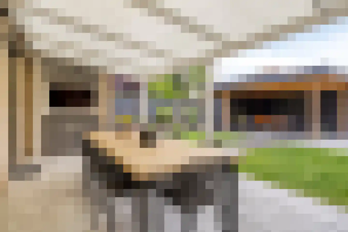 De Koolhof 12 Veldhoven thumbnail 30