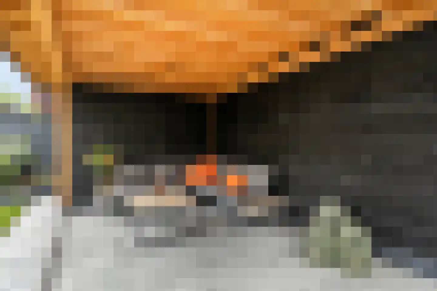 De Koolhof 12 Veldhoven thumbnail 32