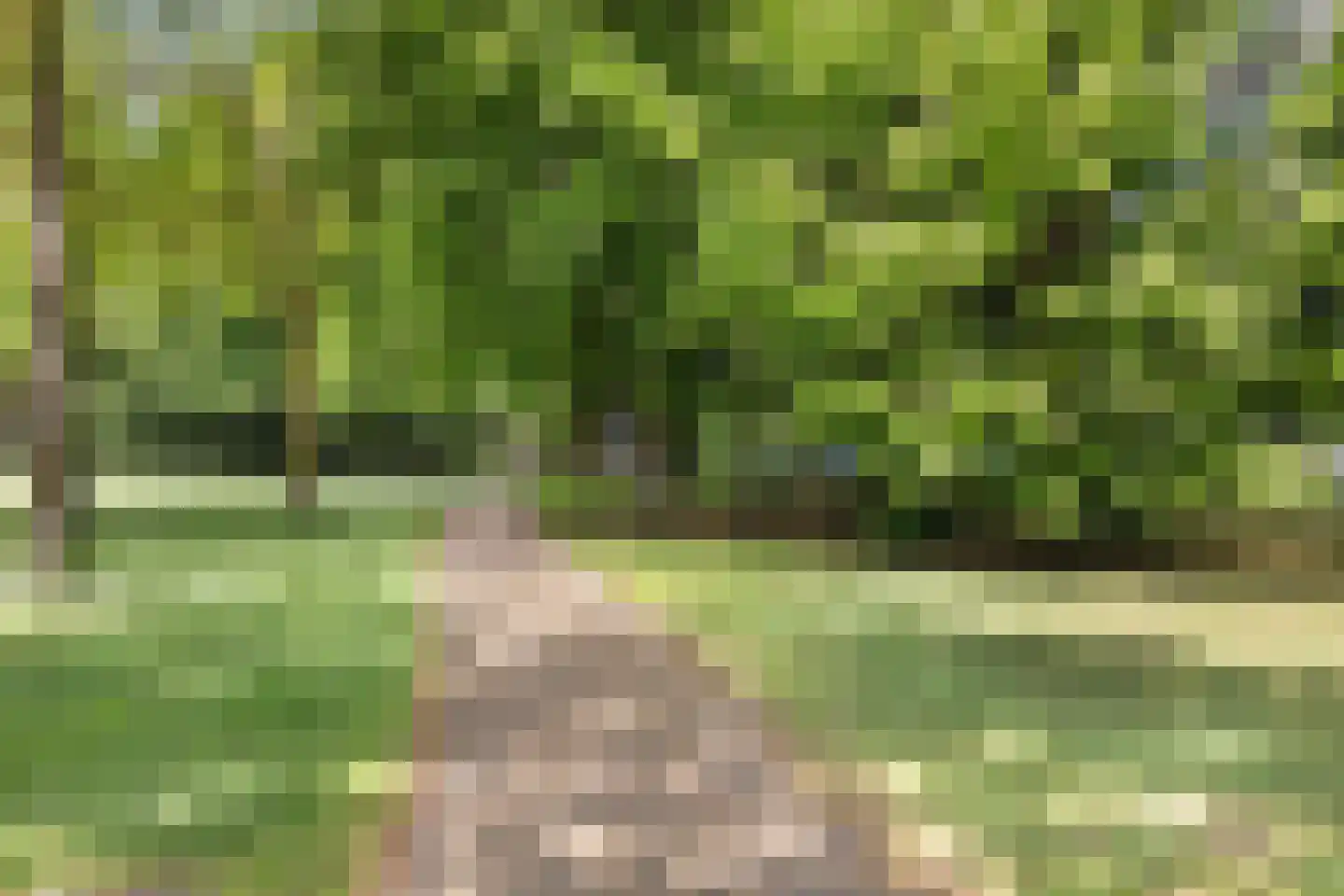 De Koolhof 12 Veldhoven thumbnail 38