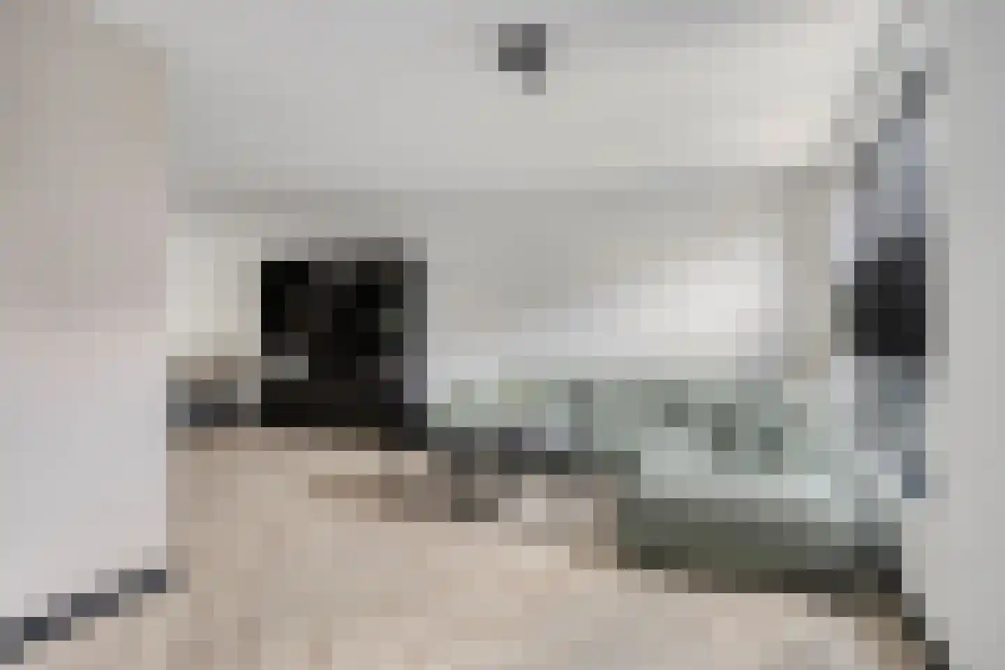 De Koolhof 12 Veldhoven thumbnail 5