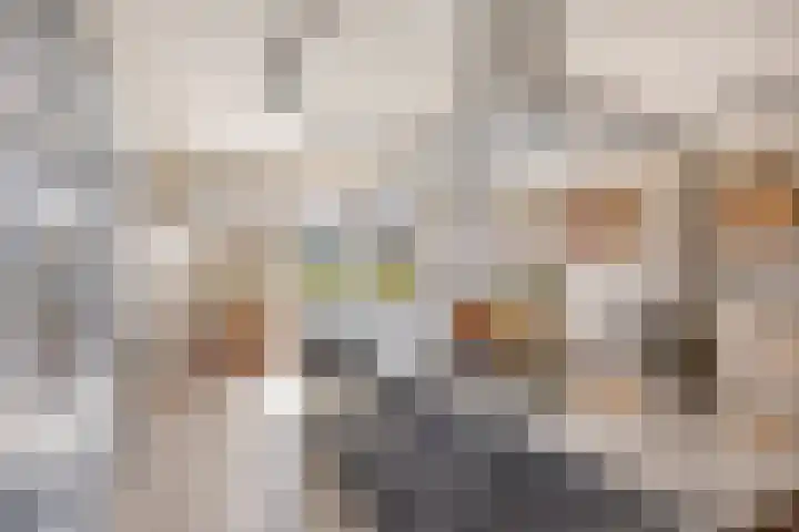De Koolhof 14 Veldhoven thumbnail 25