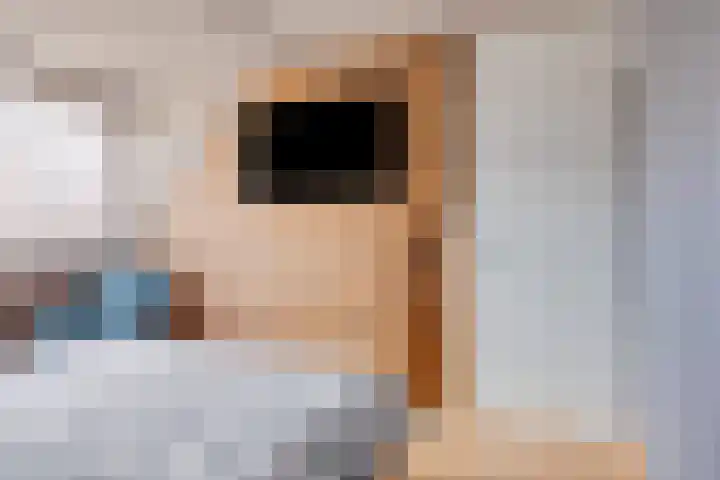 De Koolhof 14 Veldhoven thumbnail 38