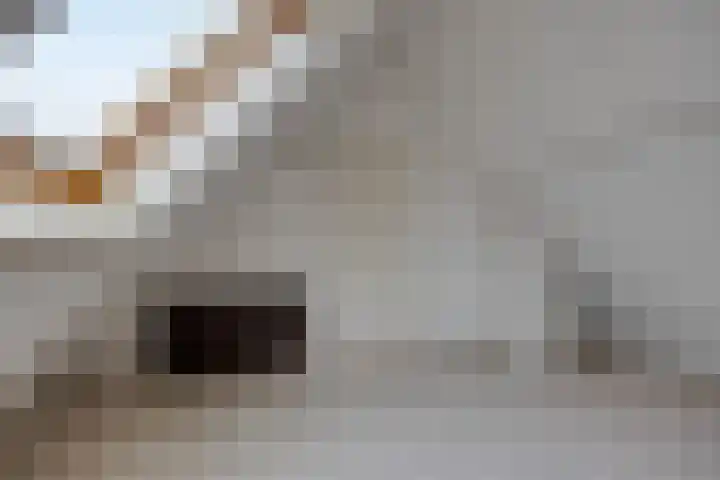 De Koolhof 3 Veldhoven thumbnail 25