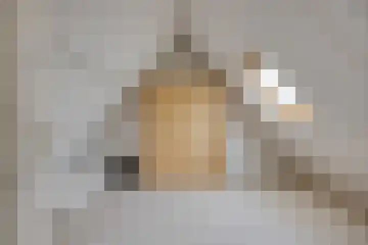 De Koolhof 3 Veldhoven thumbnail 26