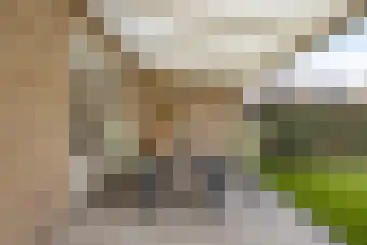 De Koolhof 3 Veldhoven thumbnail 27