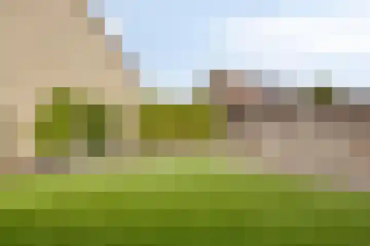 De Koolhof 3 Veldhoven thumbnail 31