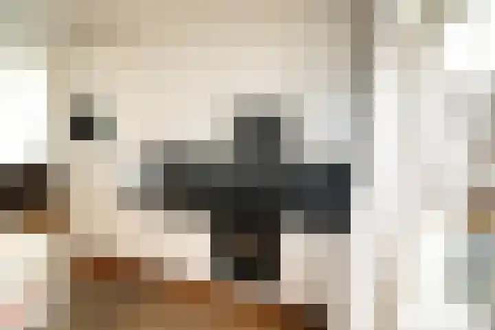 De Koolmees 162 Vriezenveen thumbnail 10