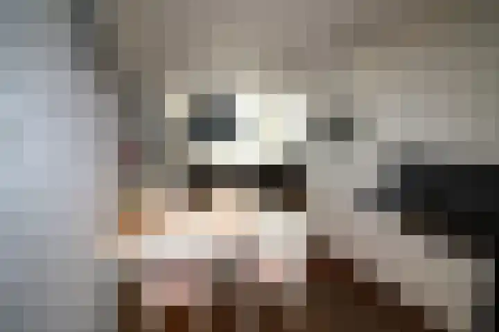 De Koolmees 162 Vriezenveen thumbnail 11