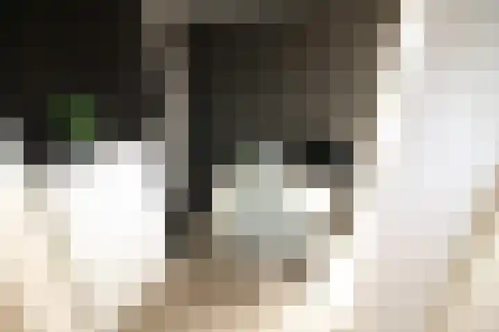 De Koolmees 162 Vriezenveen thumbnail 13