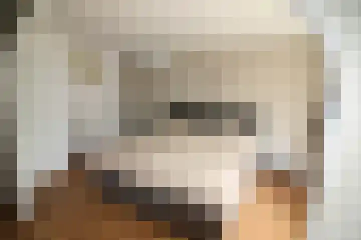 De Koolmees 162 Vriezenveen thumbnail 15