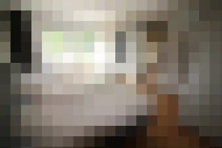 De Koolmees 162 Vriezenveen thumbnail 16