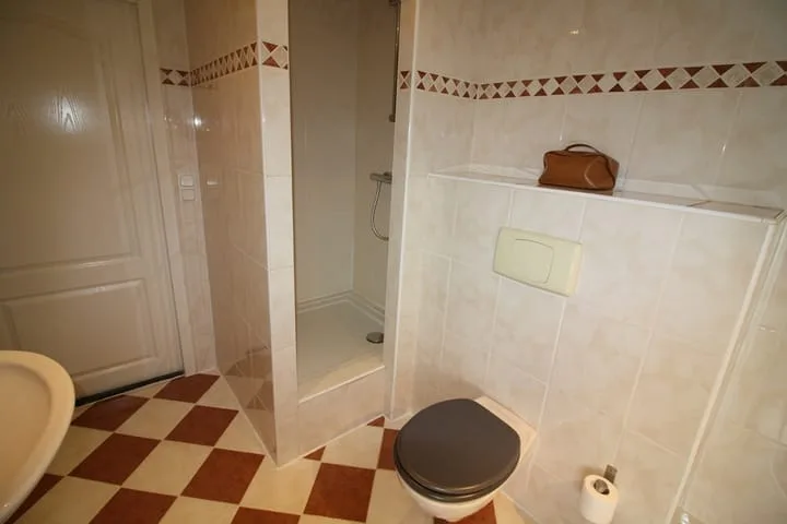 De Koolmees 162 Vriezenveen thumbnail 20