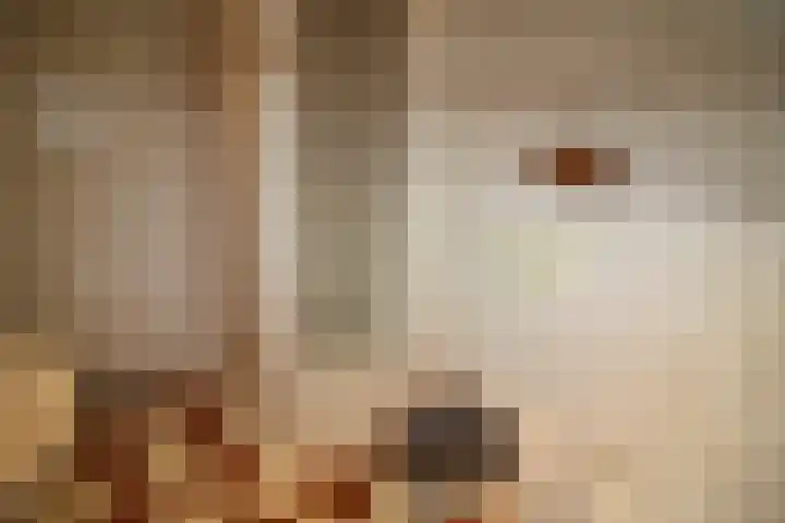 De Koolmees 162 Vriezenveen thumbnail 20