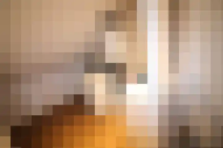 De Koolmees 162 Vriezenveen thumbnail 22