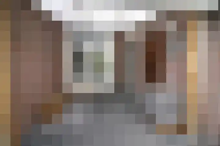 De Koolmees 162 Vriezenveen thumbnail 25