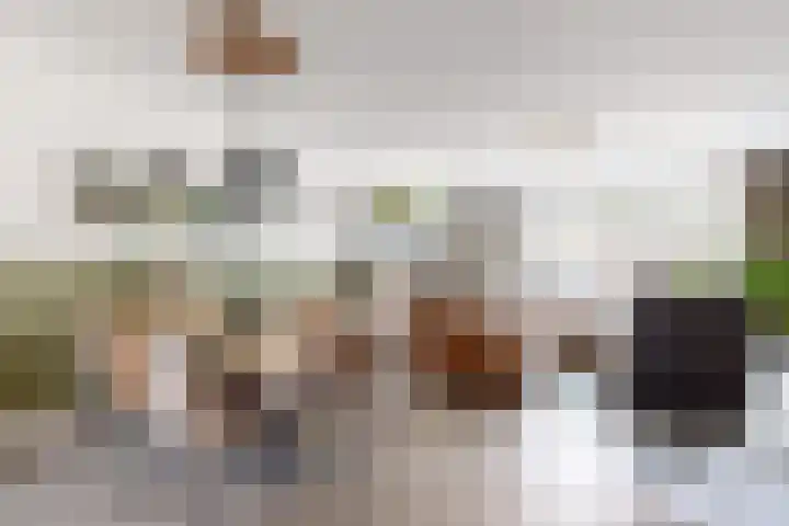De Koolmees 162 Vriezenveen thumbnail 26