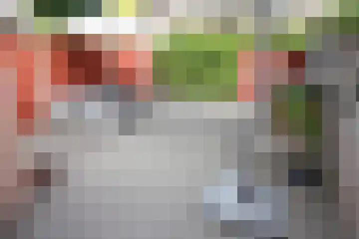 De Koolmees 162 Vriezenveen thumbnail 26