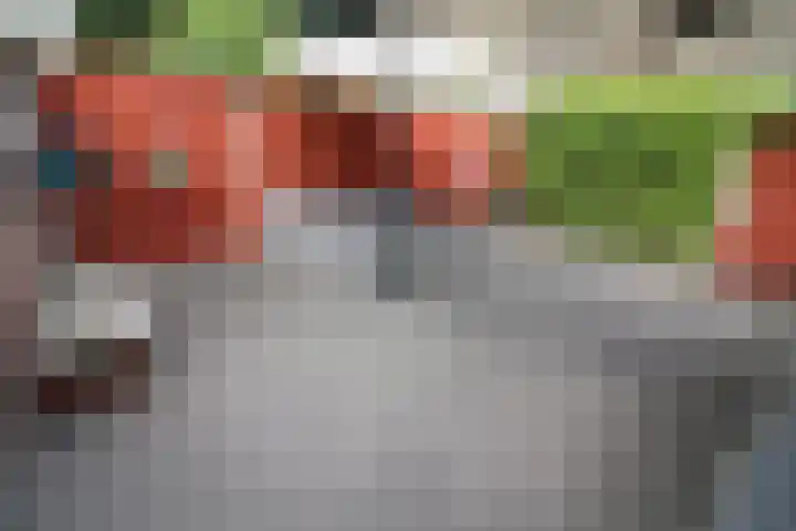 De Koolmees 162 Vriezenveen thumbnail 27